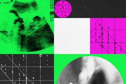 Designer Baby Companies Are in Turmoil