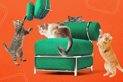 Ikea’s New Blow-Up Chair Was Tested by Cats