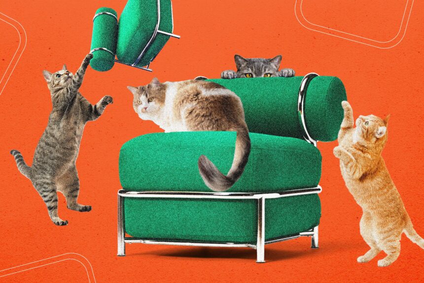 Ikea’s New Blow-Up Chair Was Tested by Cats