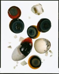 From the Archives: Jeffrey Steingarten Learns the Art of the Omelet