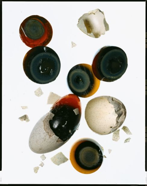 From the Archives: Jeffrey Steingarten Learns the Art of the Omelet