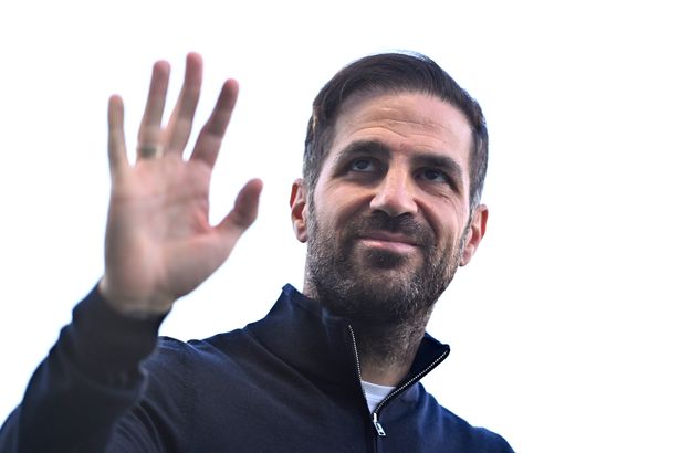 Chelsea handed Cesc Fabregas verdict on taking over Liam Rosenior after brutal sacking