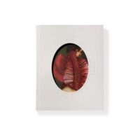 A First Look at the “Costume Art” Catalog