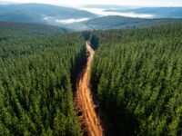 The gravelliest UCI Gravel World Championships of them all – A detailed look at the ‘perfect storm’ of terrain that riders will face this October in Western Australia