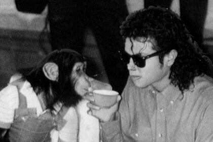 Where Is Michael Jackson’s Chimpanzee Bubbles Now? Truth Revealed