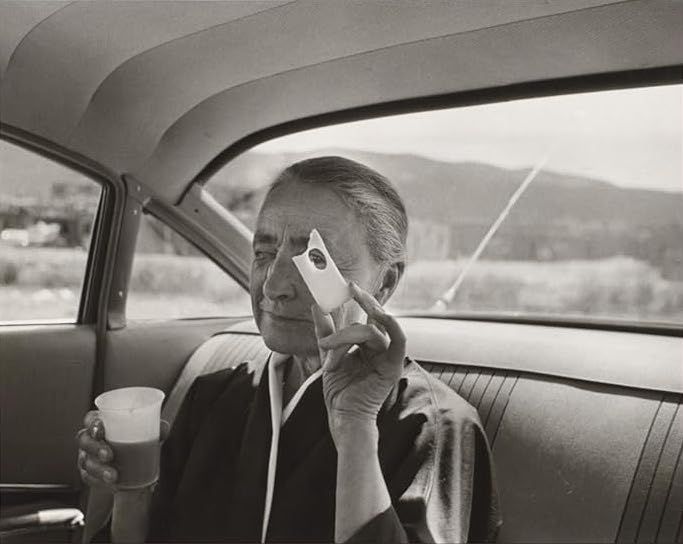 In Megan O’Grady’s Magnificent New Book ‘How It Feels to Be Alive,’ a Treatise on the Art of Looking