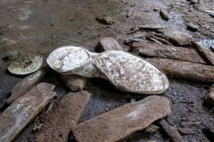 Why Allbirds Failed as a Shoe Company—and Why Crocs and On Are Winning