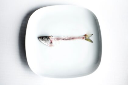 Why Marine Collagen Wins When It Comes to Better Skin