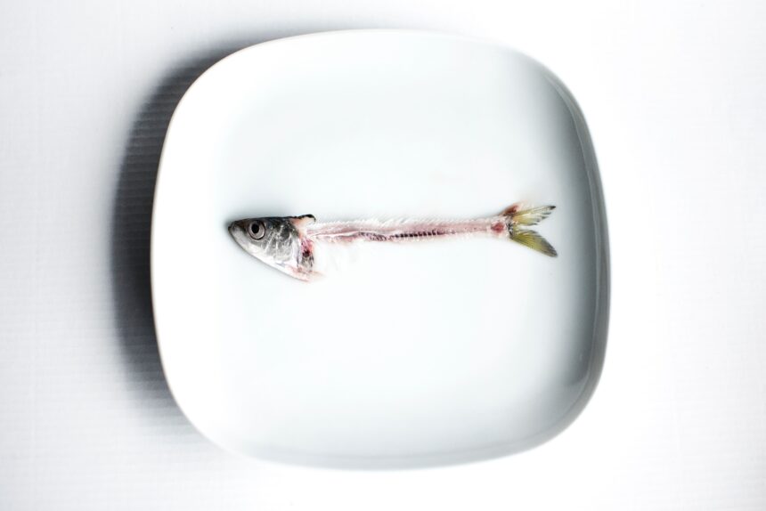 Why Marine Collagen Wins When It Comes to Better Skin