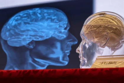 80 Going on 50: The Secret Behind ‘SuperAger’ Brains