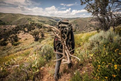 How to Shed Hunt: When to Go, Where to Look, and How to Find More Antlers