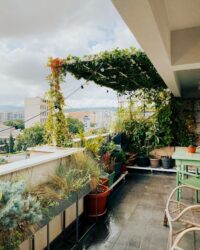 5 Small Garden Ideas for Making the Most of Your City Greenscape