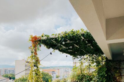 5 Small Garden Ideas for Making the Most of Your City Greenscape