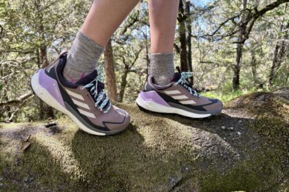Women’s Adidas Terrex Free Hiker 2.0 Low GTX Review