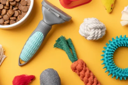 Why Most Sustainable Pet Products Don’t Change Behavior