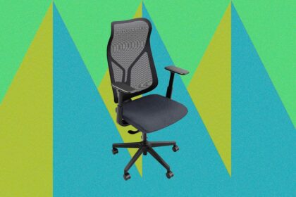 Vari Align Desk Chair Review (2026): Breathable, Comfy, Low Cost