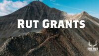 Applications Open for the 2026 Rut Grants