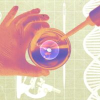 A Startup Says It Grew Human Sperm in a Lab—and Used It to Make Embryos