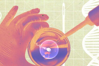 A Startup Says It Grew Human Sperm in a Lab—and Used It to Make Embryos