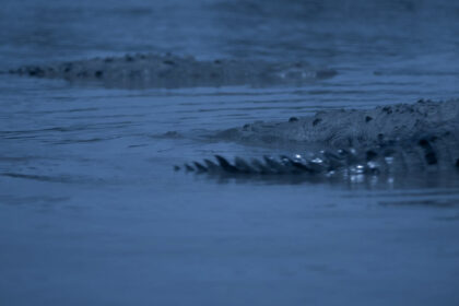 Alexandra Latishev’s Feminist Fantasy Fable ‘Sirens’ Enchants Vitrine Filmes España (EXCLUSIVE) 