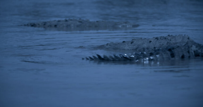 Alexandra Latishev’s Feminist Fantasy Fable ‘Sirens’ Enchants Vitrine Filmes España (EXCLUSIVE) 