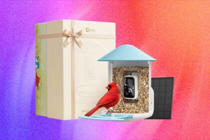 Mother’s Day Deals on Smart Bird Feeders (2026)