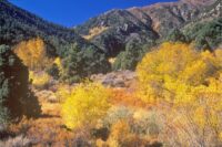 New Bill Aims to Transfer Thousands of Acres of Federal Land to This State