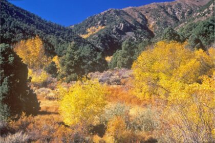 New Bill Aims to Transfer Thousands of Acres of Federal Land to This State