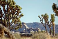 Mining Company Plans to Drill Within 100 Feet of Joshua Tree National Park