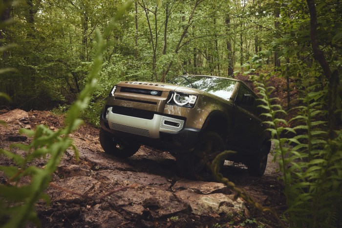 Why You Should Attend a Destination Defender Event