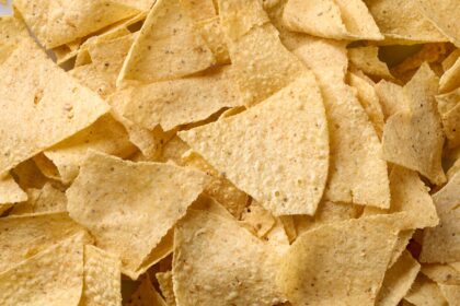 My New Favorite Tortilla Chips Are Fried in … Beef Tallow (They’re “Absolutely Delicious”)
