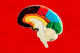 Scientists Say This Star-Shaped Brain Cell Holds the Key to Curing Anxiety and PTSD