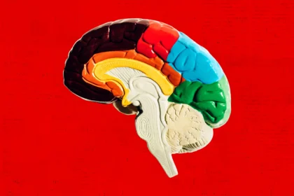 Scientists Say This Star-Shaped Brain Cell Holds the Key to Curing Anxiety and PTSD