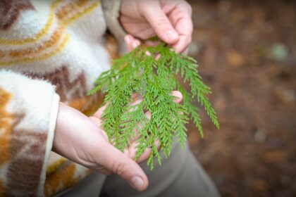 Rooted in the Same Ground