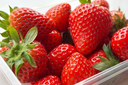 This “Brilliant”  Find Keeps My Berries Fresher for Twice as Long (I’m Shocked)