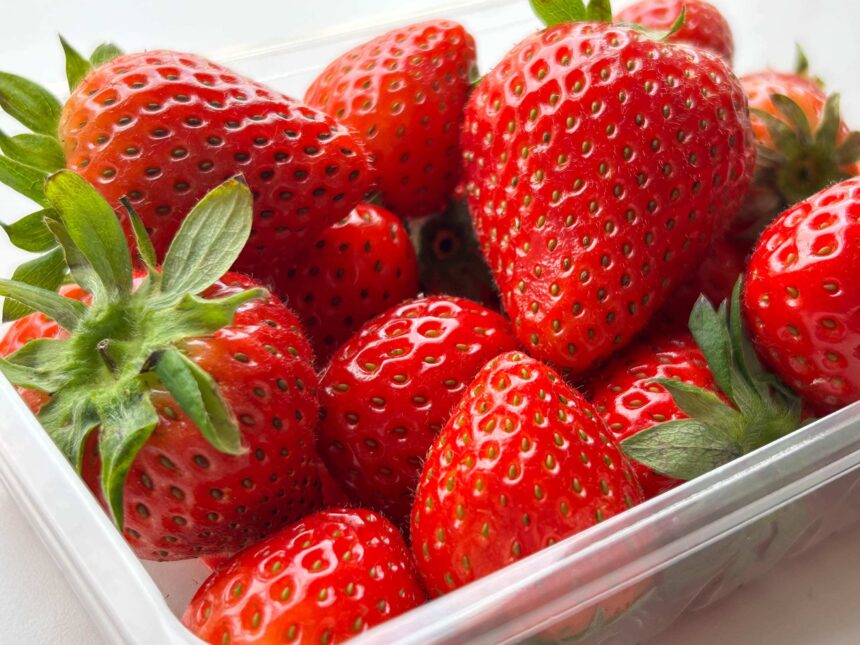 This “Brilliant”  Find Keeps My Berries Fresher for Twice as Long (I’m Shocked)