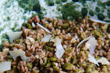 Farro Salad with Olives, Walnuts and Pecorino