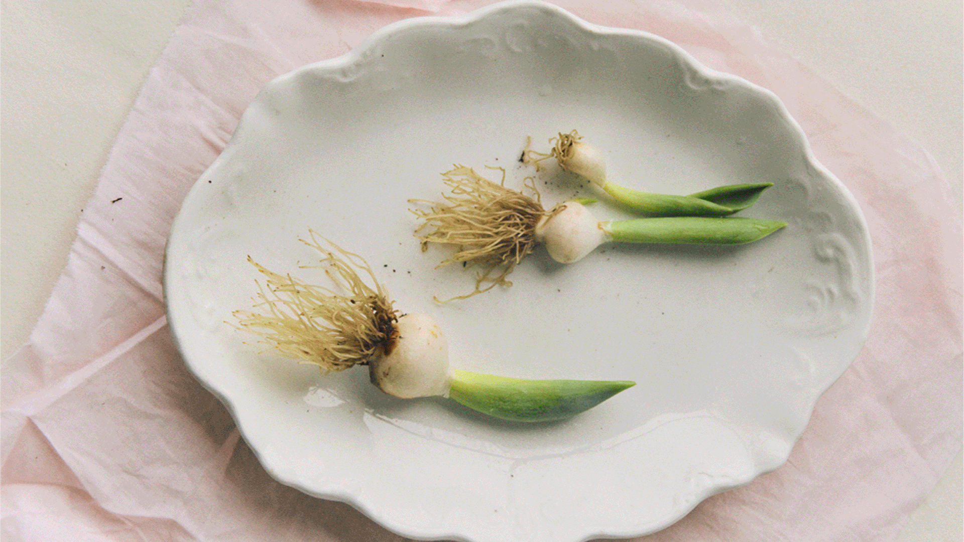 He Built a Luxury Perfume Brand by Making a Short Film for Each Launch. It’s Sold Out Every Drop for 7 Years Straight