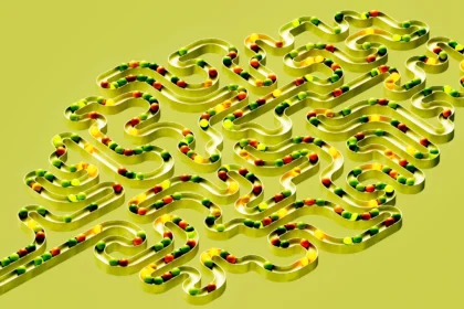 Here’s How Making Life Just  a Bit Harder Can Give You a Lifetime of Better Brain Function