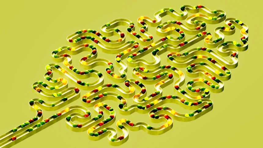 Here’s How Making Life Just  a Bit Harder Can Give You a Lifetime of Better Brain Function