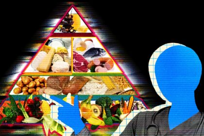 Meta’s New AI Asked for My Raw Health Data—and Gave Me Terrible Advice