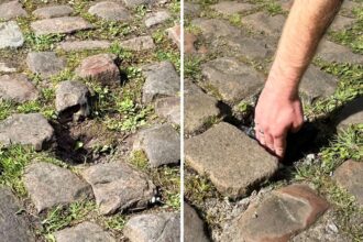 ‘I hope it’s more stupidity than deliberate vandalism’ – Sabotage feared after thieves steal Paris-Roubaix cobbles
