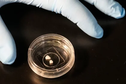 Why the Most Powerful Computer of 2026 Might Be Made of Living Cells, Not Microchips