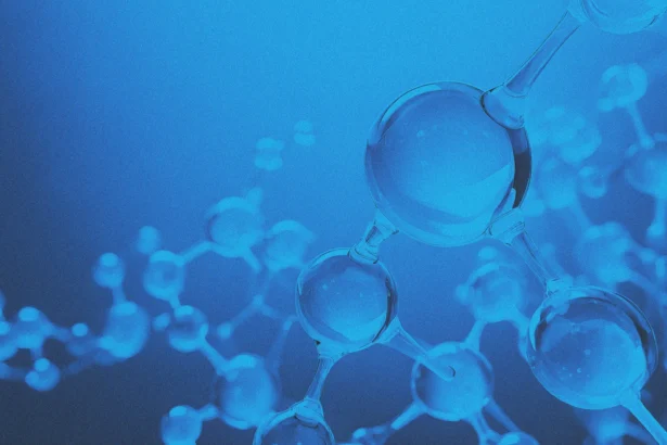 A Natural Peptide for Weight Loss Already Lives Within You