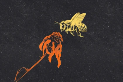 Are the bees still dying? The scary truth behind the continuing ‘beepocalypse’ 