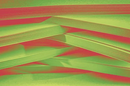 We need to kill the bloated 100 slide ‘Frankendeck’