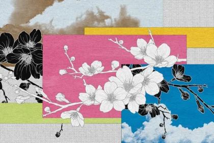 Japan’s beautiful cherry blossoms are facing an ugly threat