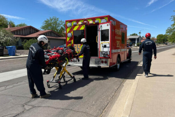 Hiker Airlifted to Hospital After 100 Bee Stings on Arizona Trail