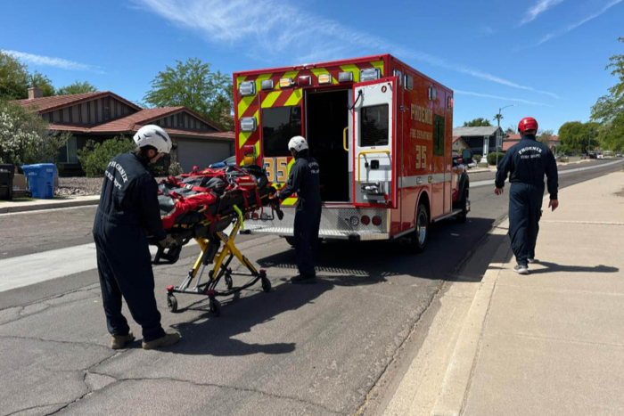 Hiker Airlifted to Hospital After 100 Bee Stings on Arizona Trail