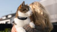 This New Health-Tracking Pet Collar Is Like a Smartwatch for Dogs and Cats